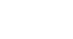 Lifeline Technology Solutions